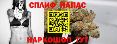 амф Моздок