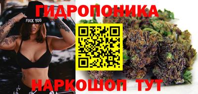 амф Моздок